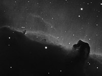 Flame and Horsehead nebulae