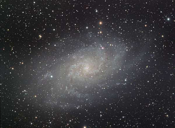 M33