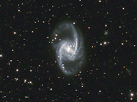NGC 1365