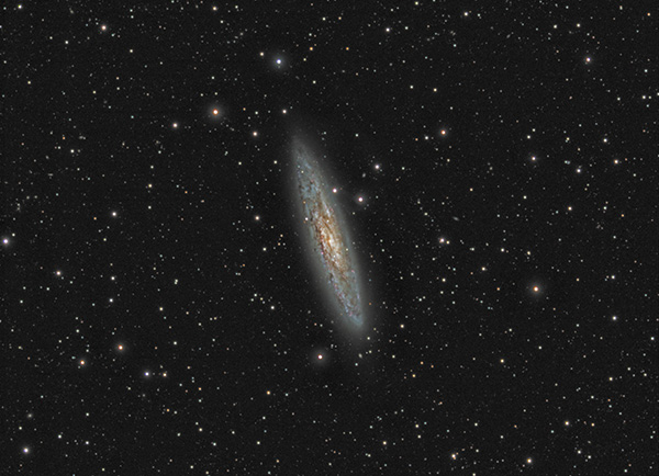 NGC253