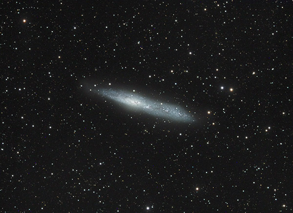 NGC55